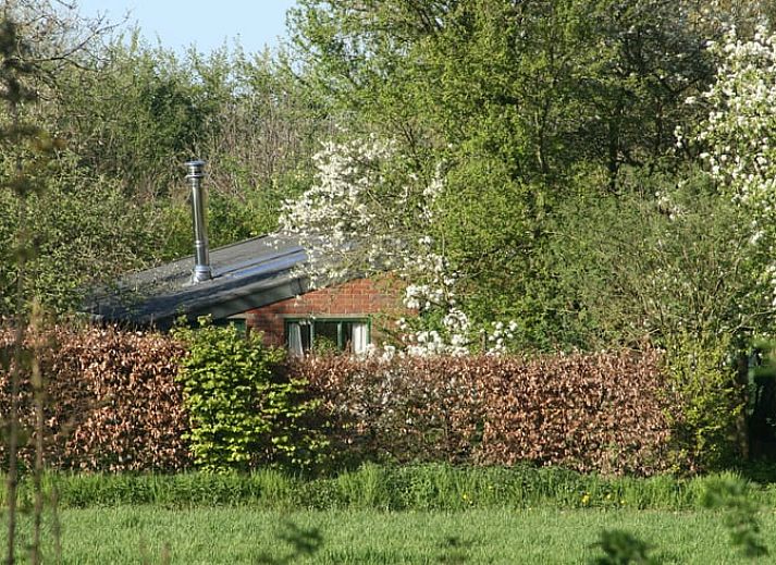 Herfstlandschap bij Vakantiehuis in Voorst Oude IJsselstreek, Achterhoek, Gelderland met rode daken en bomen.