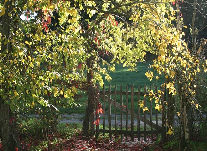 Rustieke tuin bij Vakantiehuis in Voorst Oude IJsselstreek, Achterhoek, Gelderland met picknicktafel en groene omgeving.