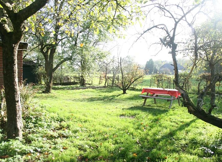 Sfeervolle herfsttuin van Vakantiehuis in Voorst Oude IJsselstreek, Achterhoek, Gelderland met hond in de tuin.