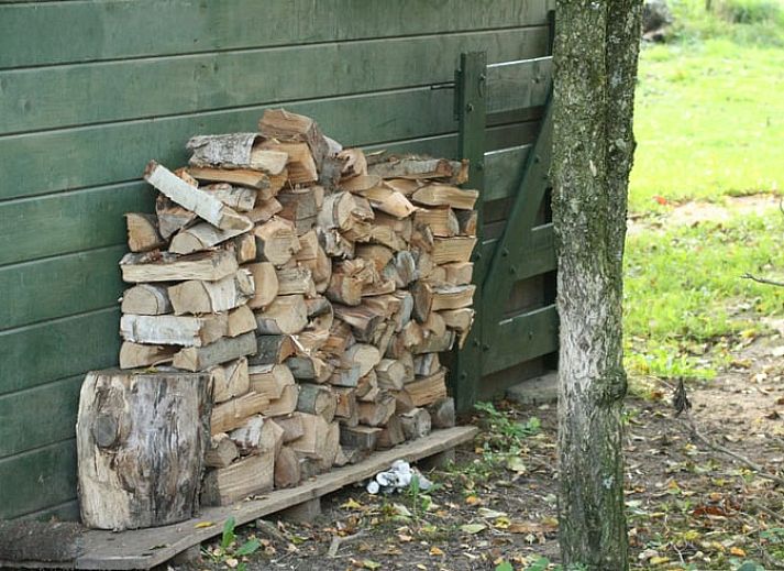 Sfeervolle herfsttuin van Vakantiehuis in Voorst Oude IJsselstreek, Achterhoek, Gelderland met hond in de tuin.