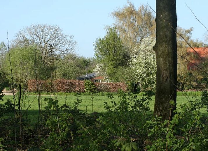 Sfeervolle herfsttuin van Vakantiehuis in Voorst Oude IJsselstreek, Achterhoek, Gelderland met hond in de tuin.