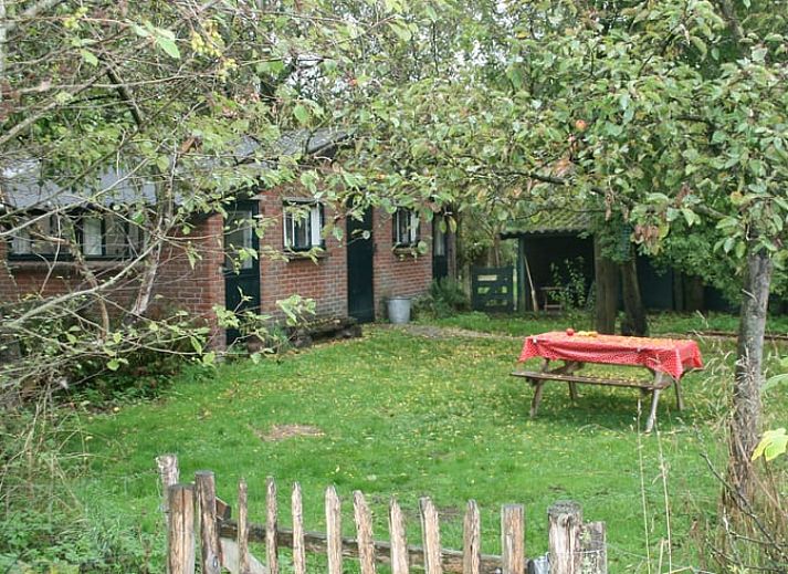 Sfeervolle herfsttuin van Vakantiehuis in Voorst Oude IJsselstreek, Achterhoek, Gelderland met hond in de tuin.