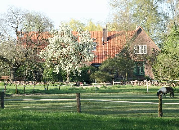 Zomertuin bij Vakantiehuis in Voorst Oude IJsselstreek, Achterhoek, Gelderland met houten hek en groene planten.