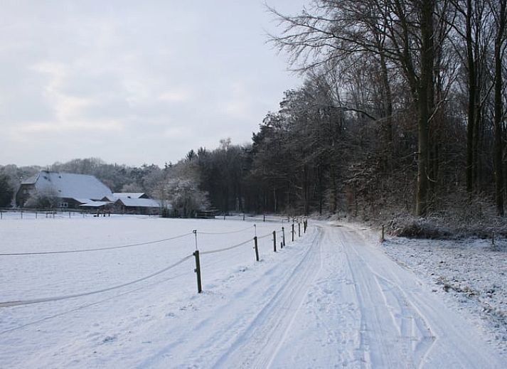 Zomertuin bij Vakantiehuis in Voorst Oude IJsselstreek, Achterhoek, Gelderland met houten hek en groene planten.
