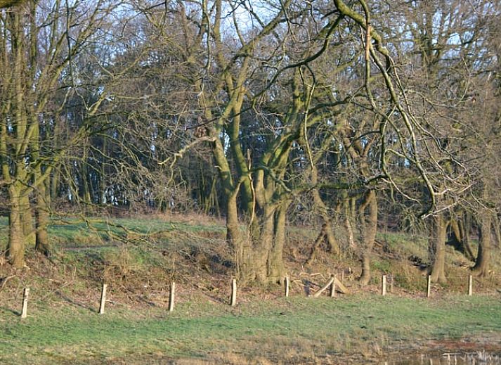 Gezellige woonkamer in Vakantiehuis in Voorst Oude IJsselstreek, Achterhoek, Gelderland met oranje bank en tapijt.
