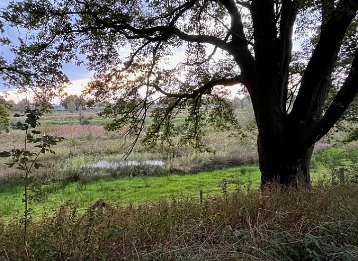 Gezellige woonkamer in Vakantiehuis in Voorst Oude IJsselstreek, Achterhoek, Gelderland met oranje bank en tapijt.