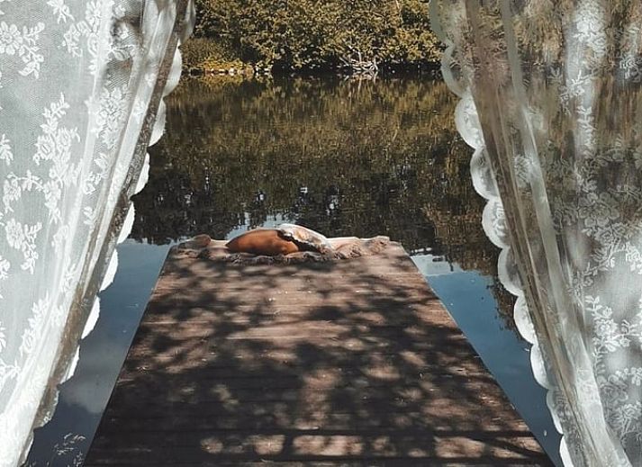 Attractive bedroom in Cottage in Voorst, Oude IJsselstreek, with artistic wall decorations and cozy furnishings, Achterhoek, Gelderland.