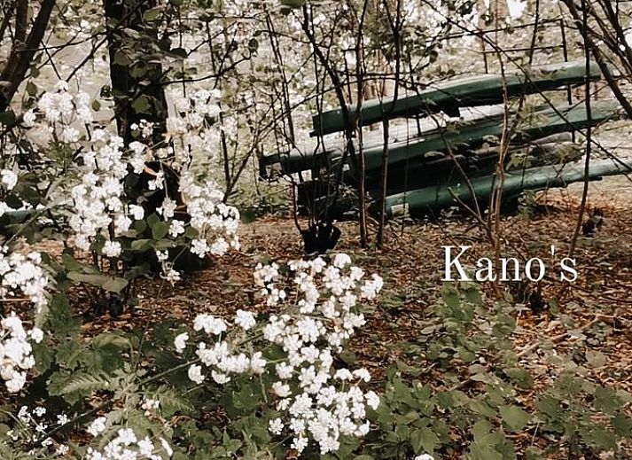 Attractive bedroom in cottage in Voorst, Oude IJsselstreek, Achterhoek, Gelderland, with stylish decor and comfortable beds.