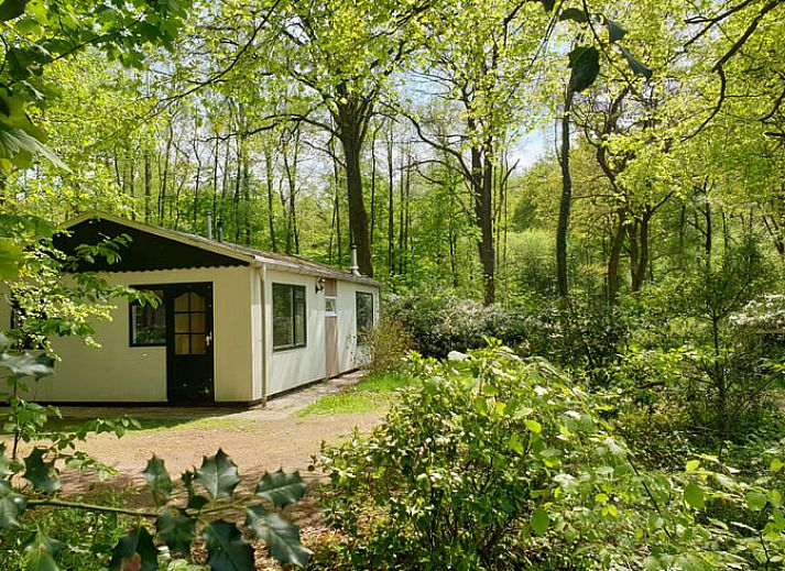 Unterkunft 298201 • Ferienhaus Achterhoek • Vakantiehuis in Winterswijk Ratum 