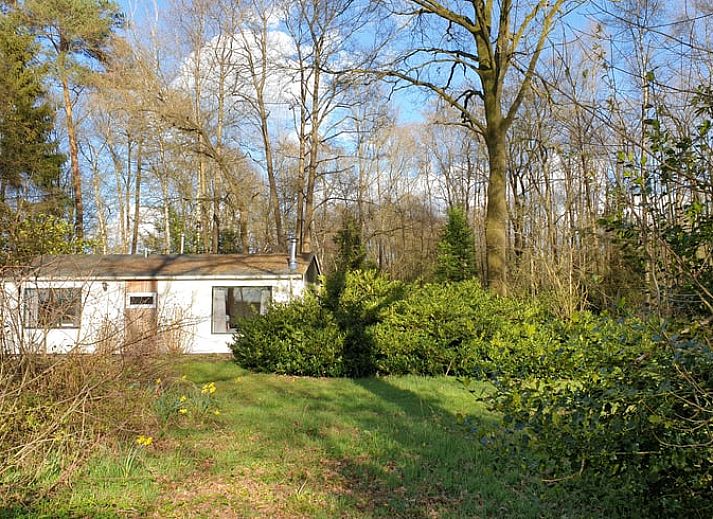 Vakantiehuis in Winterswijk Ratum omringd door groene bossen in de Achterhoek, Gelderland.