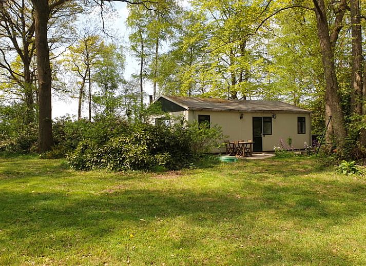 Vakantiehuis in Winterswijk Ratum omringd door groene bossen in de Achterhoek, Gelderland.