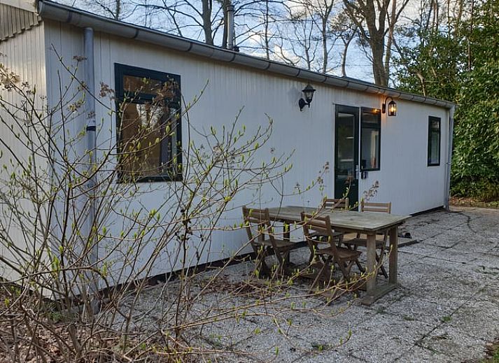 Vakantiehuis in Winterswijk Ratum omringd door groene bossen in de Achterhoek, Gelderland.