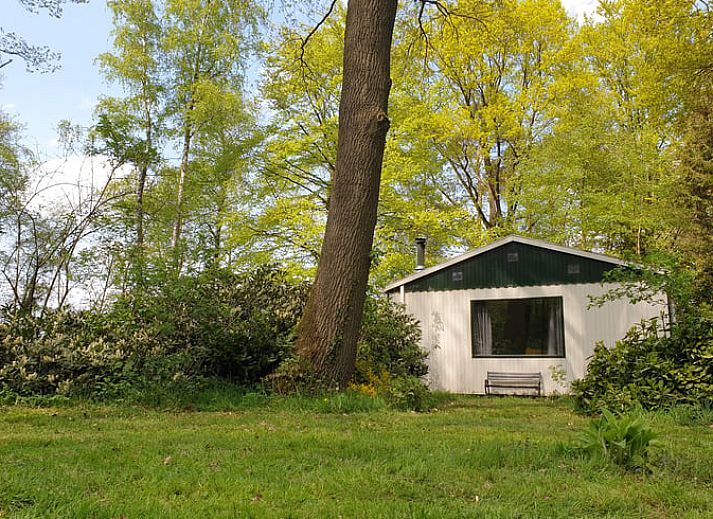 Vakantiehuis in Winterswijk Ratum omringd door groene bossen in de Achterhoek, Gelderland.
