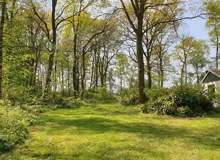 Rustiek vakantiehuis in Winterswijk Ratum met weelderige tuin in de Achterhoek, Gelderland.