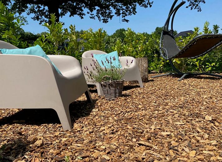 Guest house 298302 - Holiday property Achterhoek - Vakantiehuis in Dinxperlo