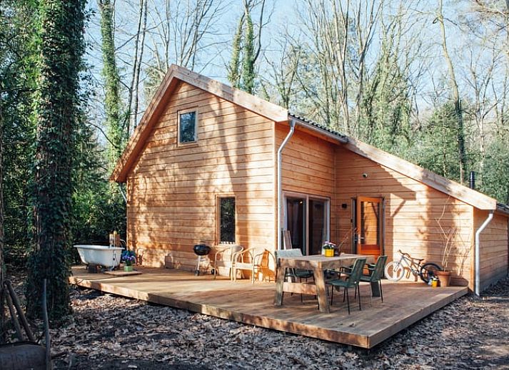 Holzhaus in Joppe, Achterhoek mit Terrasse und Waldgebiet.