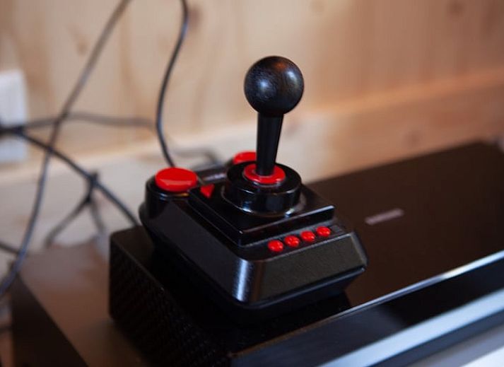 Holzhaus in Joppe, Achterhoek mit Terrasse und Waldgebiet.