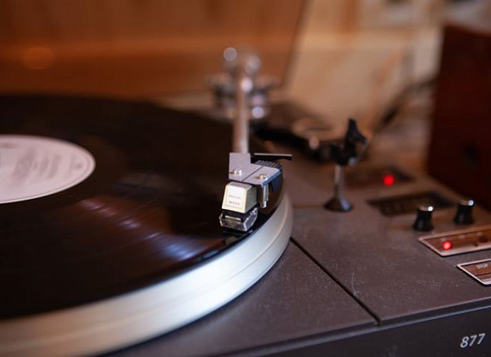 Holzhaus in Joppe, Achterhoek mit Terrasse und Waldgebiet.
