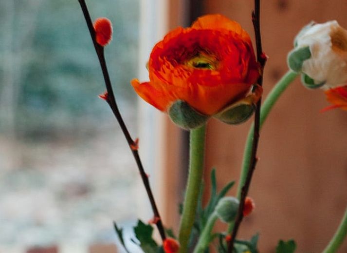 Retro-Joystick in der Huette in Joppe, Achterhoek, Gelderland.