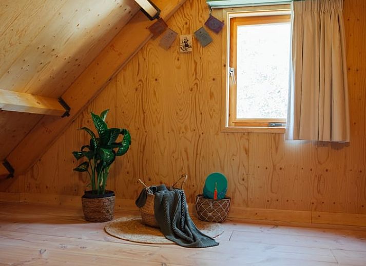 Skateboard-Rad Detail in der Huette in Joppe, Achterhoek.