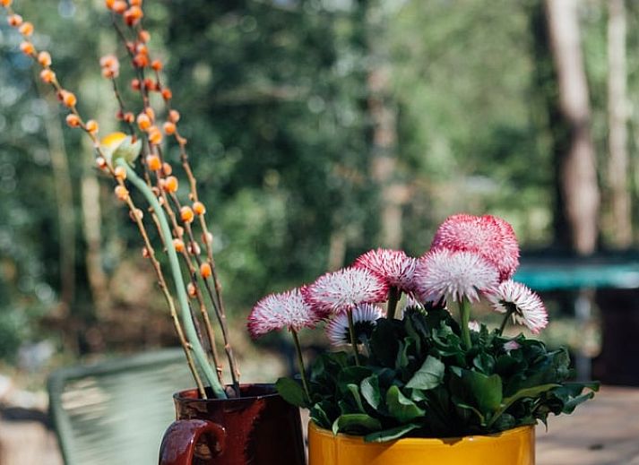 Plattenspieler fuer den Musikgenuss in der Huette in Joppe, Achterhoek.