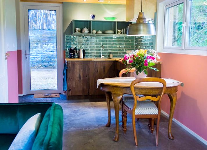 Stijlvolle woonkamer met groene bank in Vakantiehuisje in Joppe, Achterhoek, Gelderland.