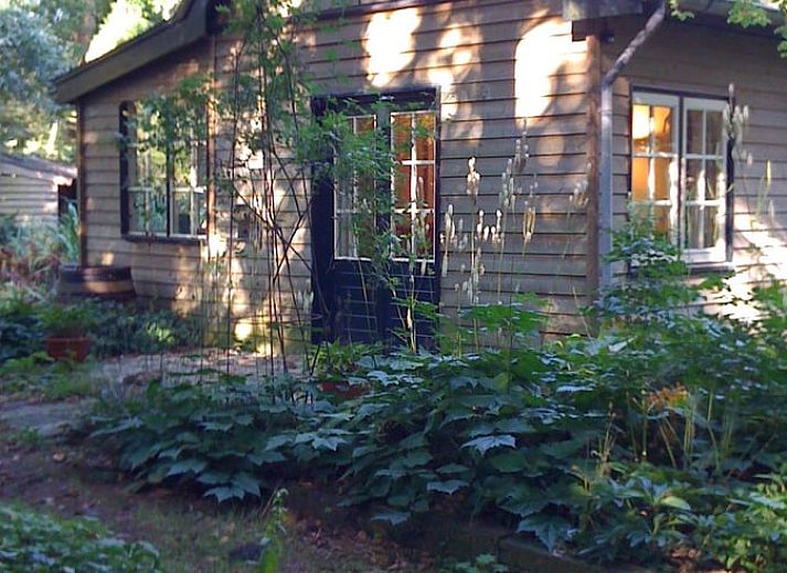 Rustikales Ferienhaus in Joppe, Achterhoek, Gelderland, umgeben von gruener Natur und ruhiger Umgebung.