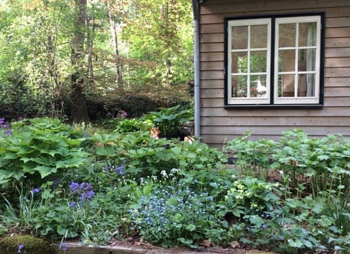 Gemuetliches Schlafzimmer im Ferienhaus in Joppe, Achterhoek, mit Holzmoebeln und Blick auf die gruene Natur durch grosse Fenster.