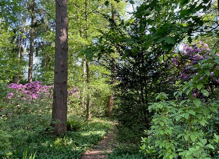 Gemuetliches Schlafzimmer im Ferienhaus in Joppe, Achterhoek, mit Holzmoebeln und Blick auf die gruene Natur durch grosse Fenster.