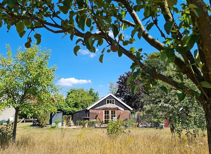 Vacation home in Winterswijk Corle, located in the green Achterhoek, offers a beautiful view from the garden.