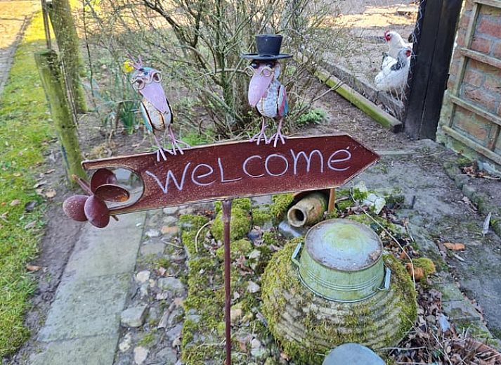 Vacation home in Winterswijk Corle, located in the green Achterhoek, offers a beautiful view from the garden.