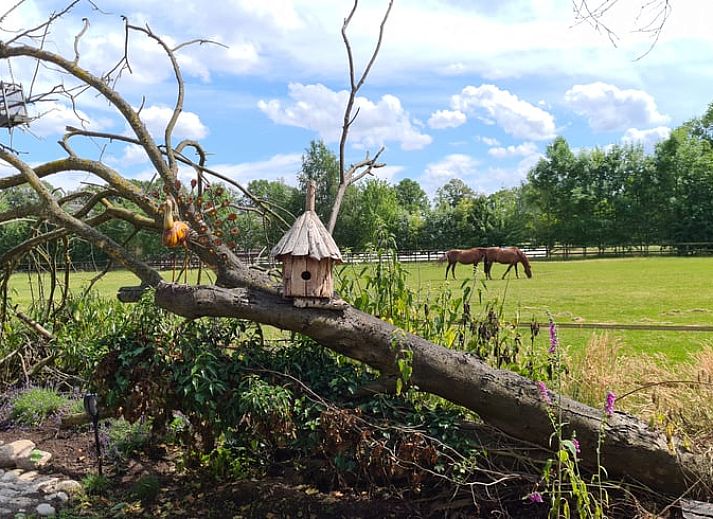 Gemuetliche Sitzecke im Ferienhaus in Winterswijk Corle, Achterhoek, Gelderland.