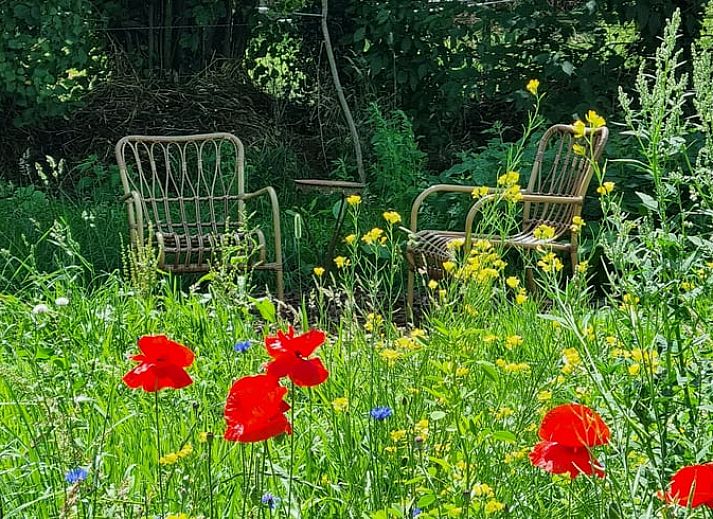 Holzofen und bequeme Stuehle im Ferienhaus in Winterswijk Corle, Achterhoek.