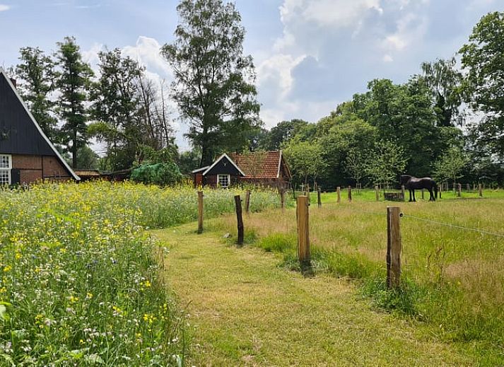Authentische Kueche im Ferienhaus in Winterswijk Corle, Achterhoek, mit altem Herd.