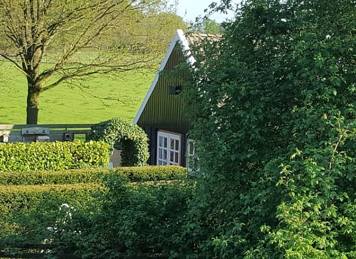 Gemuetliches Interieur des Ferienhauses in Winterswijk Corle mit Holzinterieur und farbenfrohen Stuehlen, gelegen in Achterhoek, Gelderland.