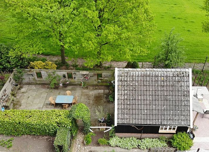 Gemuetliches Interieur des Ferienhauses in Winterswijk Corle mit Holzinterieur und farbenfrohen Stuehlen, gelegen in Achterhoek, Gelderland.