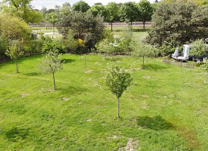 Gemuetliches Interieur des Ferienhauses in Winterswijk Corle mit Holzinterieur und farbenfrohen Stuehlen, gelegen in Achterhoek, Gelderland.