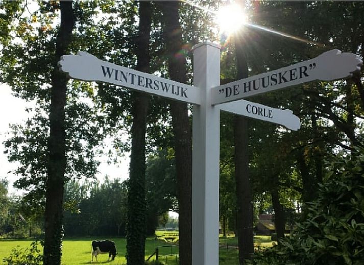 Aerial view of Holiday Home in Winterswijk Corle, surrounded by lush nature in Achterhoek, Gelderland.