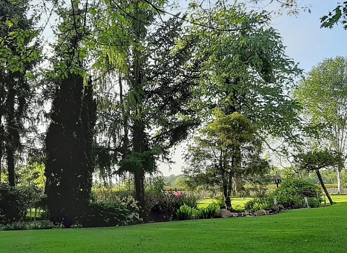 Dining and sitting area in Holiday home in Winterswijk Corle, overlooking the garden in Achterhoek, Gelderland.