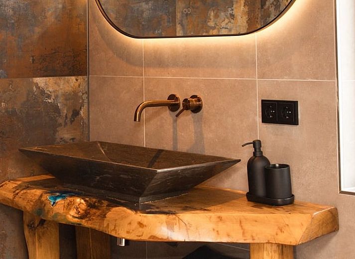 Stylish bathroom in Holiday Home in Wilp-Achterhoek with modern shower and toilet.