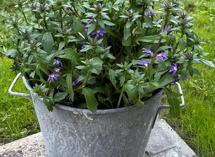 Unterkunft 298803 - Ferienhaus Achterhoek - Vakantiehuisje in Harreveld