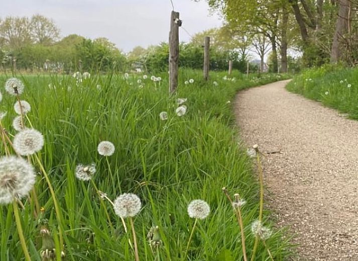 Unterkunft 298803 - Ferienhaus Achterhoek - Vakantiehuisje in Harreveld