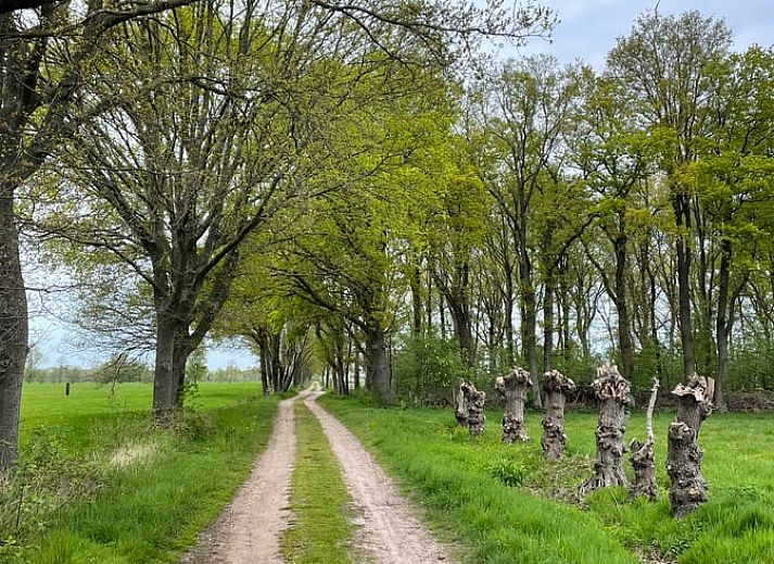 Unterkunft 298803 - Ferienhaus Achterhoek - Vakantiehuisje in Harreveld
