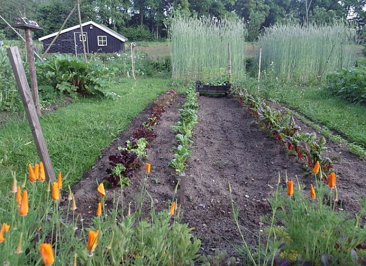 Knusse zithoek met houtkachel in Huisje in Varssel - Hengelo Gld, vakantiehuis in Varssel, Achterhoek.