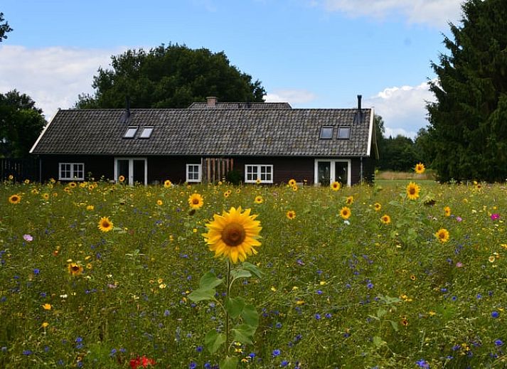 Vakantiehuis in Varssel - Hengelo Gld, omgeven door kleurrijke bloemen in de Achterhoek, Gelderland.
