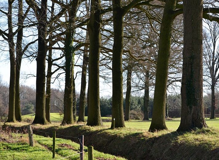 Gezellige leeshoek met open haard in Vakantiehuis in Varssel - Hengelo Gld, Achterhoek, Gelderland.