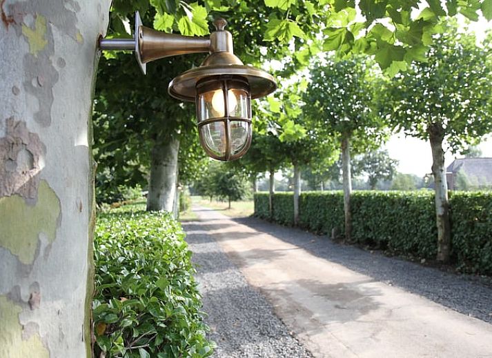 Unterkunft 299402 - Ferienhaus Achterhoek - Vakantiehuisje in Zieuwent