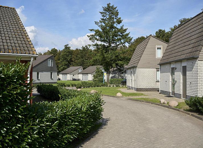 Der Bungalow Comfort Deluxe in Elburg, Gelderland, bietet einen schoenen Blick auf den See und die gruene Umgebung.