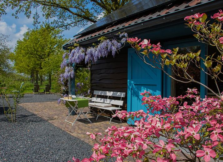 Guest house 300414 • Holiday property Gelderse vallei • Huisje in Brummen