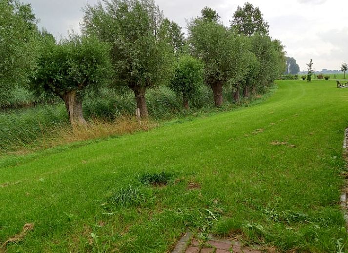 Verblijf 300415 - Vakantiewoning Gelderse vallei - Huisje in Brummen